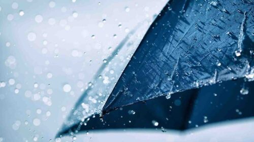 Explore the fundamental knowledge of general insurance in Australia.